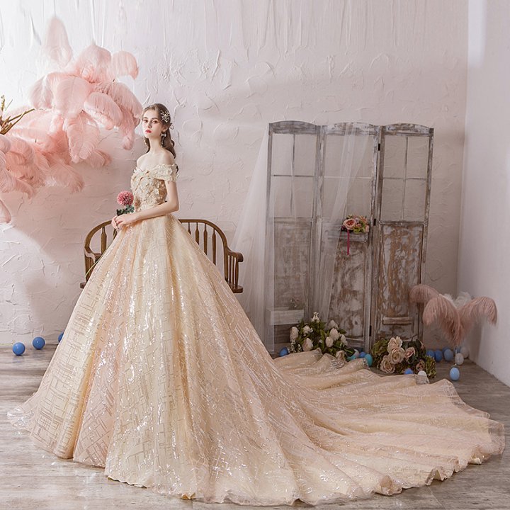 Big trailing beautiful bride luxurious wedding dress