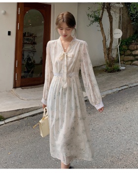 Printing Korean style long temperament autumn dress