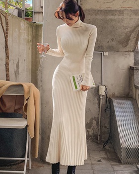 Korean style long sleeve dress high collar slim long dress