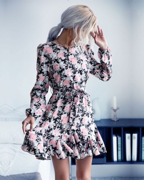 Long sleeve spring and autumn printing dress