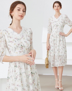 Printing embroidery dress