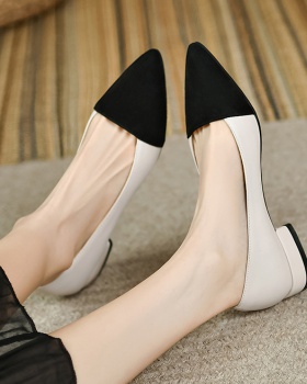 Low autumn pointed fashion and elegant shoes for women