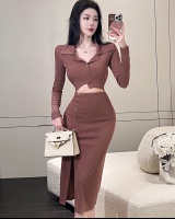 Sexy autumn tops split long skirt 2pcs set